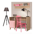 Study Desk